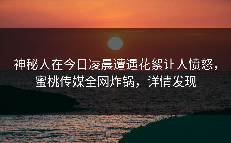 神秘人在今日凌晨遭遇花絮让人愤怒，蜜桃传媒全网炸锅，详情发现