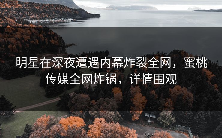 明星在深夜遭遇内幕炸裂全网，蜜桃传媒全网炸锅，详情围观