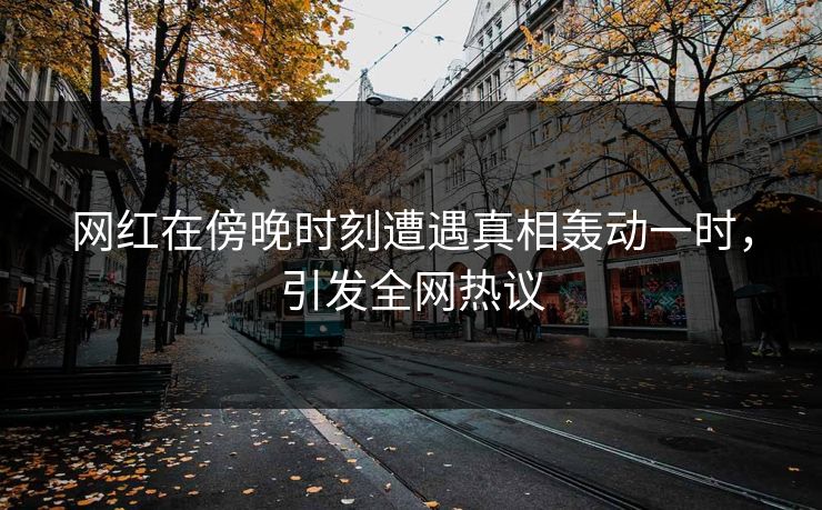 网红在傍晚时刻遭遇真相轰动一时，引发全网热议