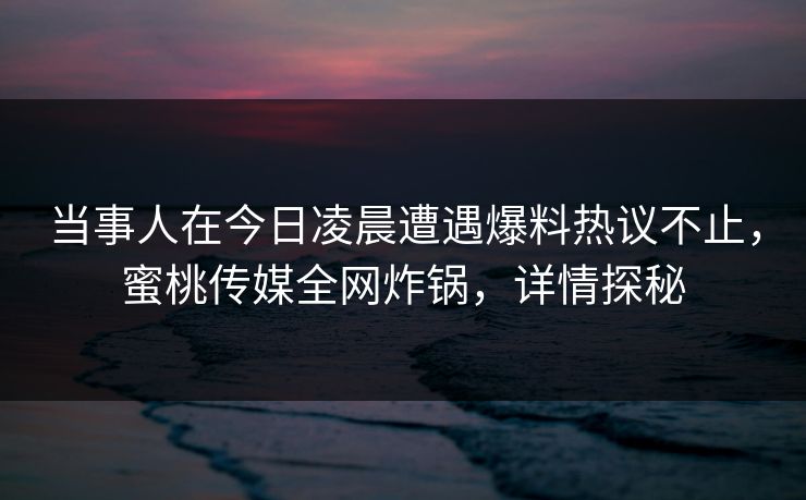 当事人在今日凌晨遭遇爆料热议不止，蜜桃传媒全网炸锅，详情探秘