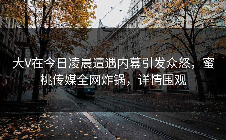 大V在今日凌晨遭遇内幕引发众怒，蜜桃传媒全网炸锅，详情围观
