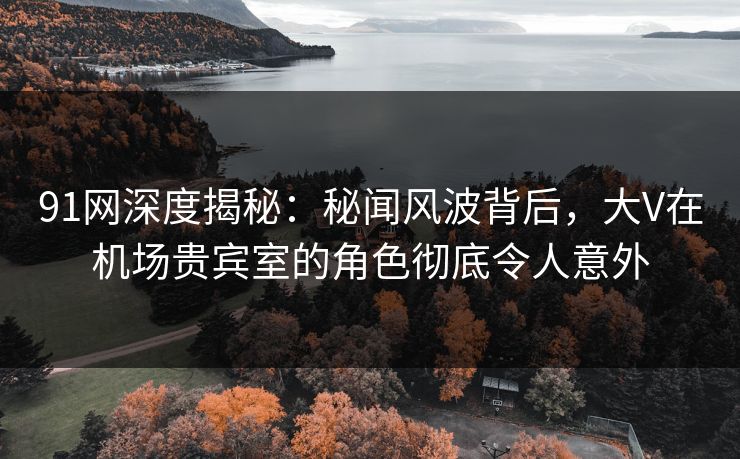 91网深度揭秘：秘闻风波背后，大V在机场贵宾室的角色彻底令人意外