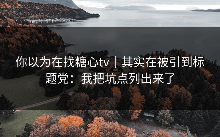 你以为在找糖心tv｜其实在被引到标题党：我把坑点列出来了