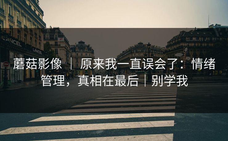蘑菇影像 | 原来我一直误会了:情绪管理,真相在最后|别学我 蘑菇影像 | 原来我一直误会了:情绪管理,真相在最后|别学我